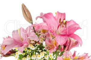 Pink lilies