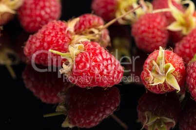 Fresh raspberries