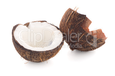 Coconut