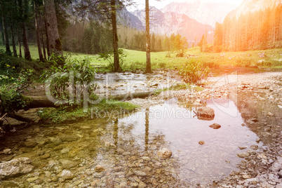 water and trees