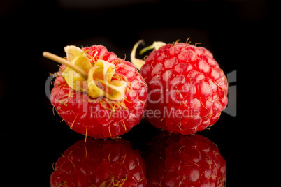 Fresh raspberries