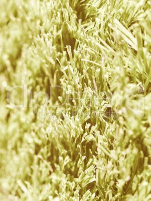 Artificial meadow vintage