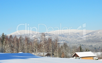 Falkenstein im Winter