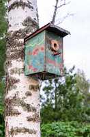 Birdhouse on a birch tree