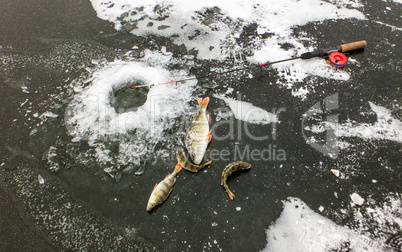 Winter fishing with ice