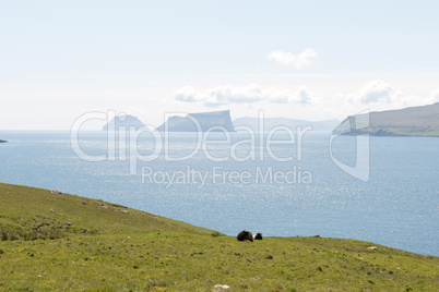 Landscape on the Faroe Islands