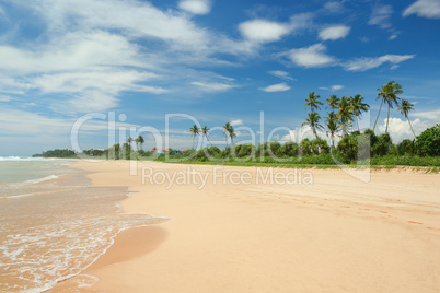 beautiful coastline and blue sky