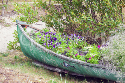 Abandoned boat decorated with flowers