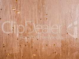 Wood damaged by furniture beetle vintage