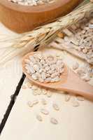 organic wheat grains