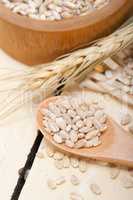 organic wheat grains