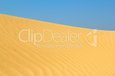 sand dune with small animals tracks
