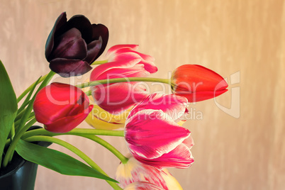 Beautiful bouquet of tulips in a ceramic vase.