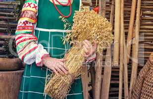 A sheaf of ears in the hands of women.