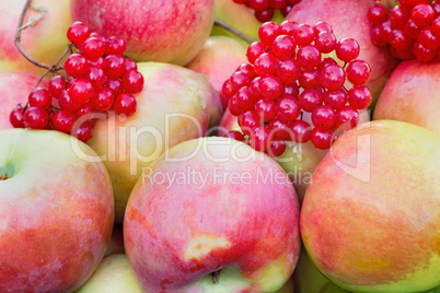 Large ripe apples and berries, photographed close up.