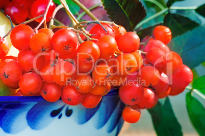 Rowan berries in a beautiful ceramic vase.