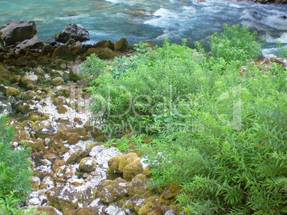 The coast of the mountain river in the mountains of Abkhazia.