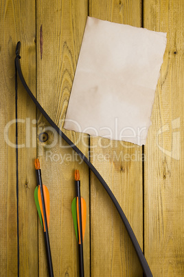 Professional bow with a set of arrows