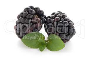 Blackberries with leaves