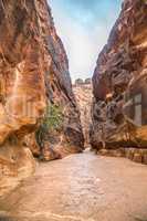 The narrow gorge leading to the Petra ancient city