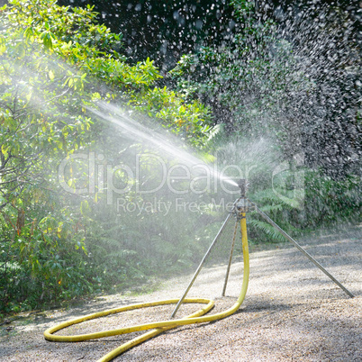 sprinkler watering the plants in park