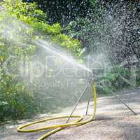 sprinkler watering the plants in park