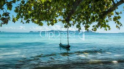Green tree with lonely swing and sea