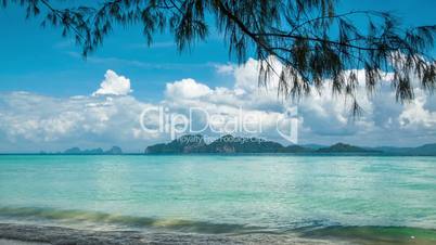 Shore in shadow of coniferous tree