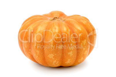 ripe pumpkin isolated on white background