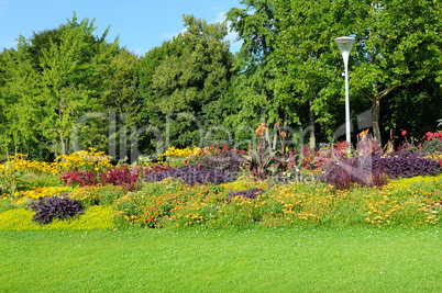 summer park with beautiful flowerbeds