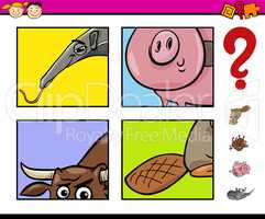 educational task with animals