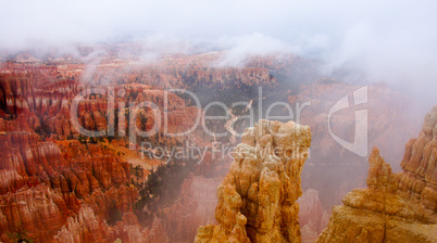 Foggy Morning at Bryce Canyon National Park, Utah