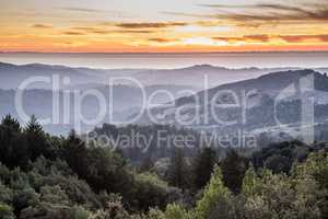 Rolling Hills Sunset Misty Mountains and Forest