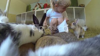 Little girl playing with bunnies