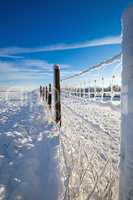 winter landscape