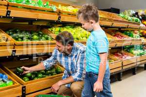 Father and son doing shopping