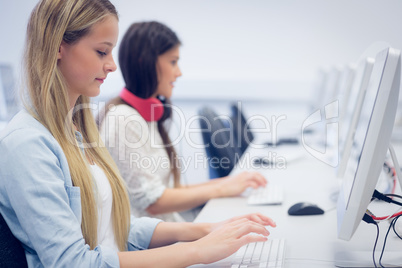 Concentrated students using computer