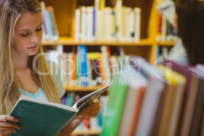 Pretty young blonde reading book