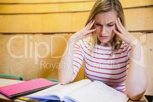 Busy female student studying