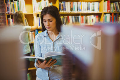 Pretty young brunette reading book