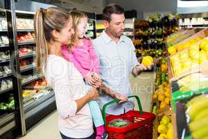 Happy family doing shopping