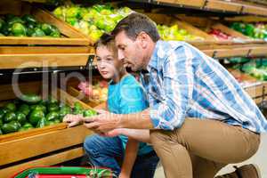 Father and son doing shopping