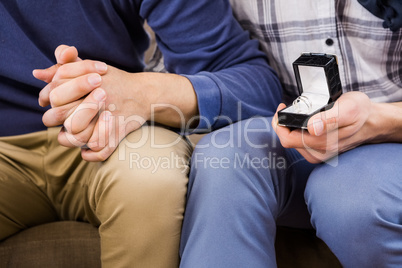 Gay couple proposal