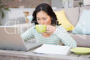Brunette using laptop and drinking by mug