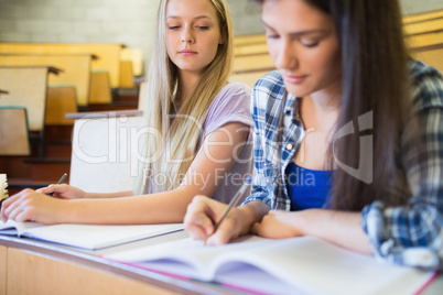 Two serious students working together