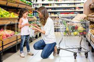 Mother and daughter doing shopping