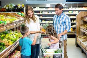 Happy family doing shopping