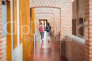 Rear view of students in the hallway