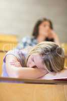 Bored student listening while classmate sleeping