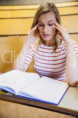 Busy female student studying
